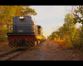 Sunset Train Tour (Every Saturday)