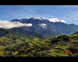 Kinabalu Park & Poring Hot Springs