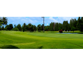 Golf at Dalit Bay