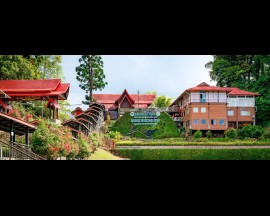 (Private) Kinabalu Park and Poring Hot spring Daytrip