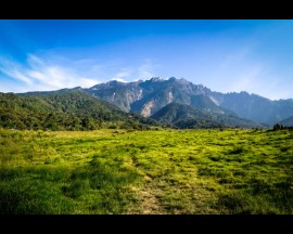 (Private) Kinabalu Park and Poring Hot spring Daytrip