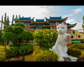 12D11N BORNEO TOURS (Sarawak & Sabah)