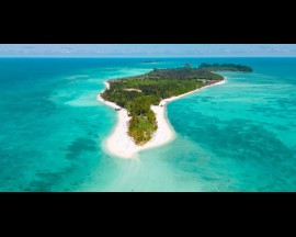 Mantanani Island + Proboscis Monkey & Fireflies Cruise