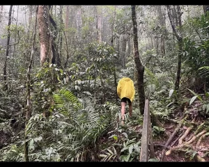 Kundasang nature tour near Mount Kinabalu
