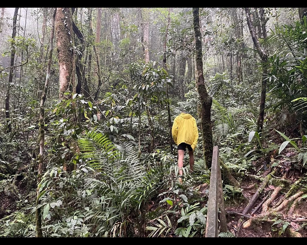 Kundasang nature tour near Mount Kinabalu