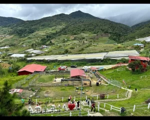 Kundasang nature tour near Mount Kinabalu