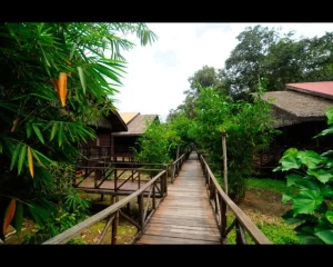 Bilit and Sandakan wildlife tour experience