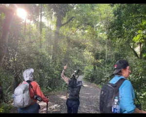 Danum Valley rainforest wildlife experience
