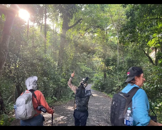 Danum Valley rainforest wildlife experience