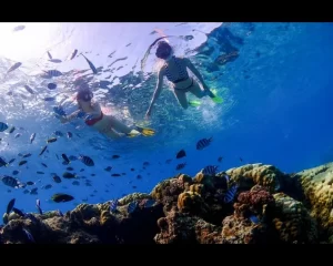 Semporna island and marine tour experience