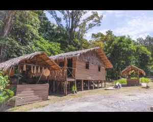 Borneo Cultural Village (BCV) 4