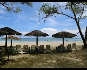 Pulau Tiga island safari experience