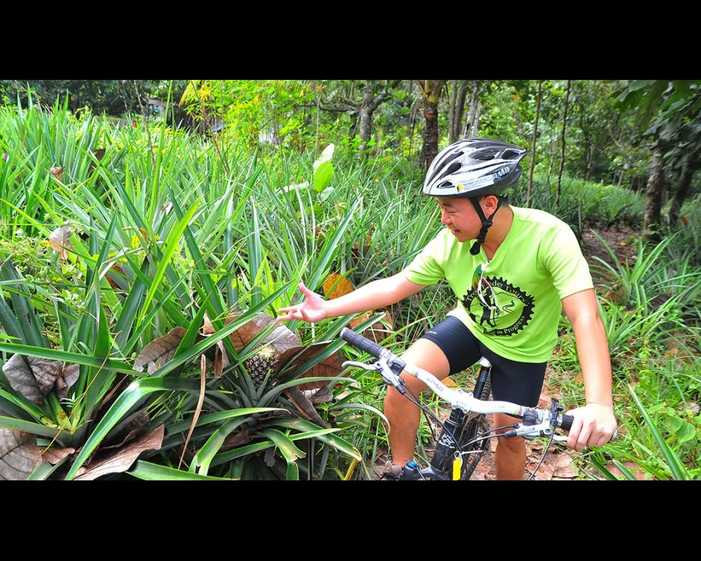 kiulu cycling 1
