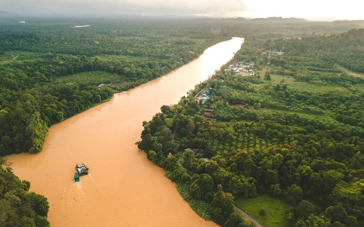 Aerial view of the Kinabatangan River through rainforest