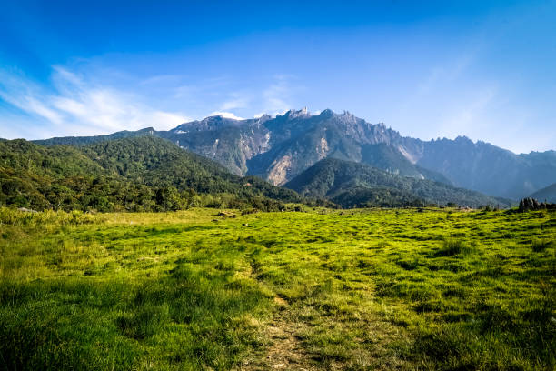 Mount Kinabalu above a green meadow
