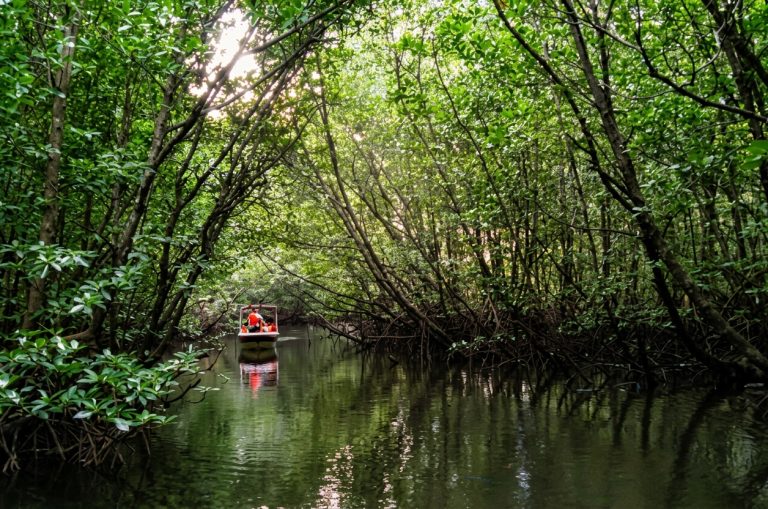 Mengkabong Sunset River Cruise and Fireflies